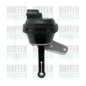 8029439 HOFFER