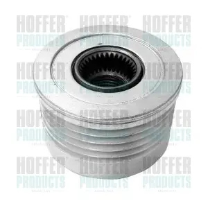 45097 HOFFER