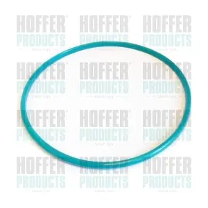 GSK01 HOFFER