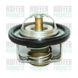 HOFFER 8192335