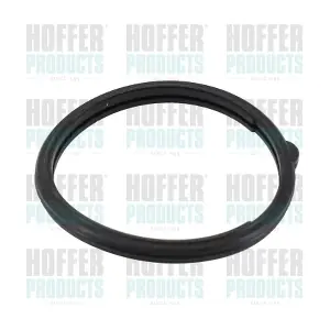 HOFFER 01679