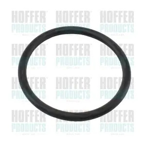 HOFFER 01681