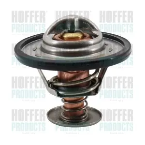 8192421 HOFFER