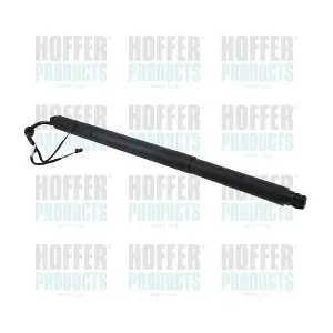 H301094 HOFFER