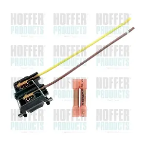 25231 HOFFER