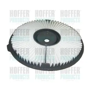 16289 HOFFER