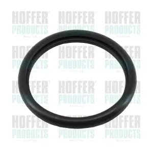 HOFFER 01670