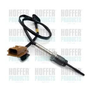7452019 HOFFER