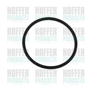 98811 HOFFER