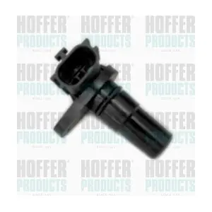 7517877 HOFFER