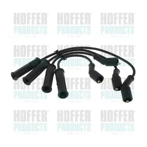 101109 HOFFER
