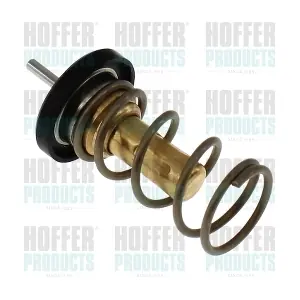 81921002 HOFFER