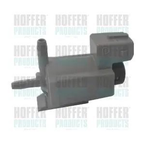 8029738 HOFFER