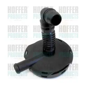 8091619 HOFFER