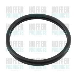 HOFFER 01673