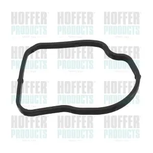 01667 HOFFER