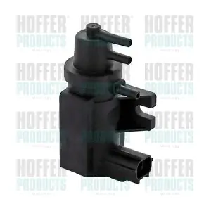 8029536 HOFFER