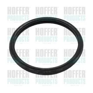 01678 HOFFER