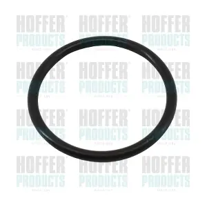HOFFER 01665