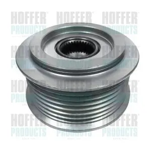 45163 HOFFER