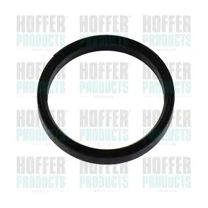 016243 HOFFER