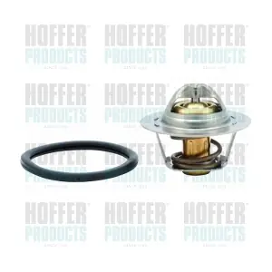 HOFFER 8192242