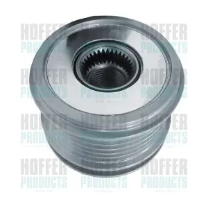 45213 HOFFER