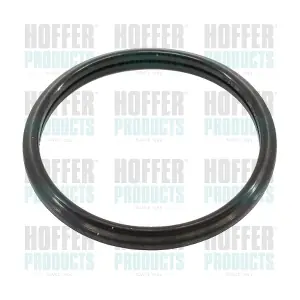 016103 HOFFER