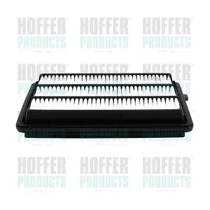 18719 HOFFER