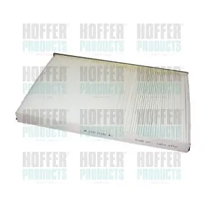 17173 HOFFER