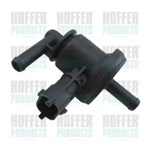 8029888 HOFFER