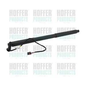 H301069 HOFFER