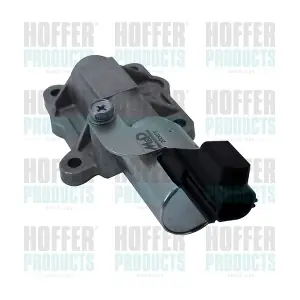 8091594 HOFFER