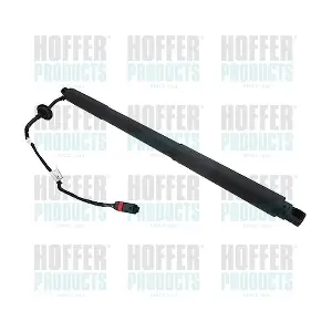 H301031 HOFFER