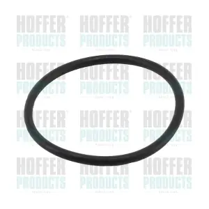 01691 HOFFER