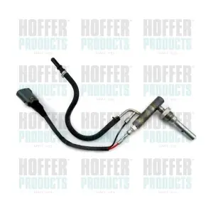 HOFFER H1951