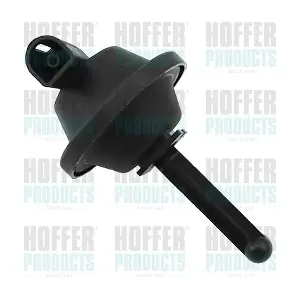 7029757 HOFFER
