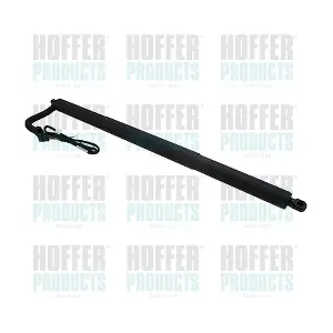 H301013 HOFFER