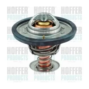 HOFFER 8192091