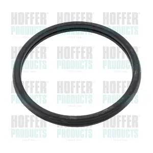 HOFFER 01684