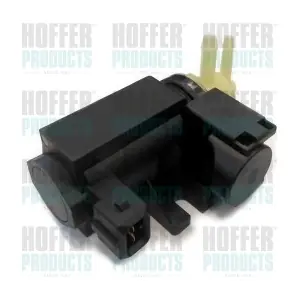 8029099 HOFFER