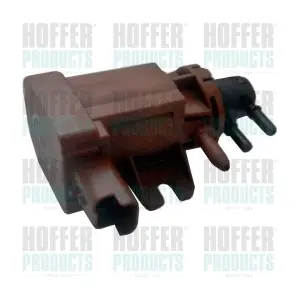 8029132 HOFFER