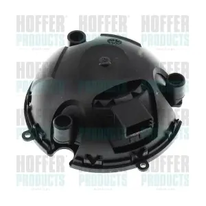 H38553 HOFFER