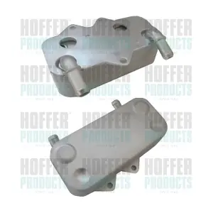 HOFFER 8095098