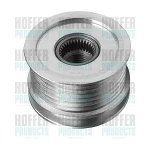 45009 HOFFER