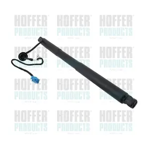 H301090 HOFFER