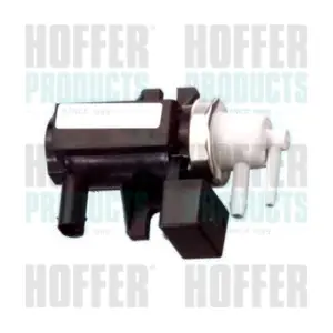 8029129 HOFFER
