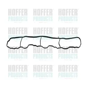 HOFFER 016225
