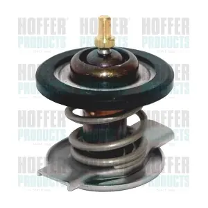 8192677IN HOFFER