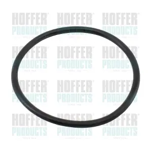 HOFFER 01663